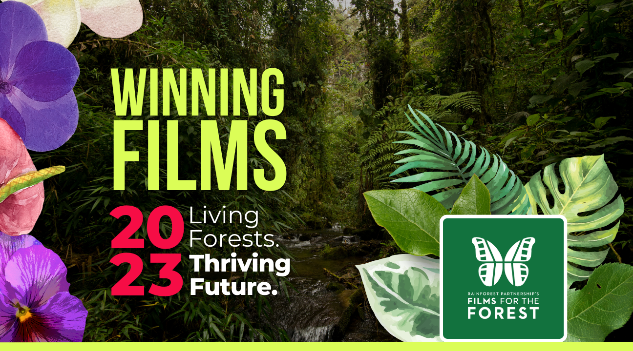 Announcing 2023 Films for the Forest Winners